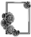 sticker_35407014_73