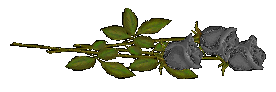 sticker_21284336_47599832