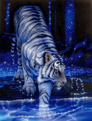 sticker_8242399_15926946