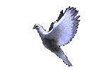 sticker_21541580_46275876