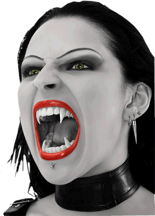 sticker_8151310_24079696
