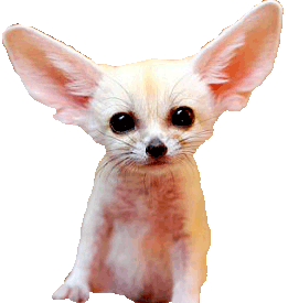 sticker_8232472_47576425