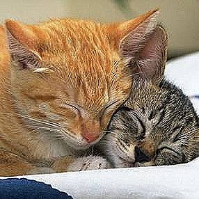 sticker_7317928_13740825