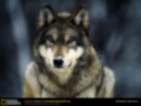 sticker_36153549_16