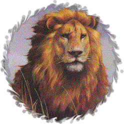 sticker_38120836_27