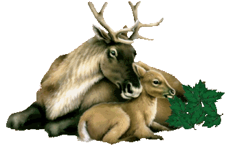 sticker_25812339_47589488