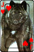 sticker_22933190_41053298