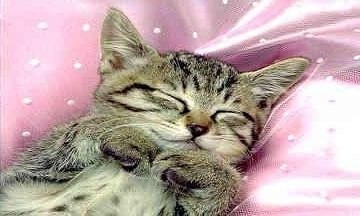 sticker_32694963_18312502