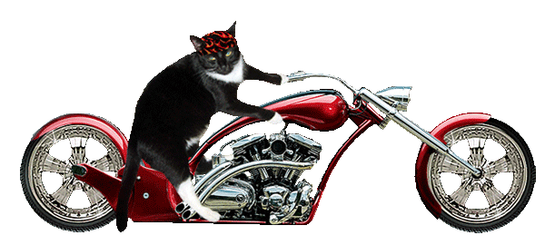 sticker_30369371_47607402