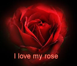 sticker_13921328_29883141