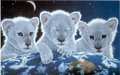 sticker_13361594_47534570