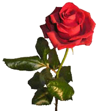 sticker_31721498_47188498