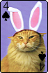 sticker_11914440_40042806
