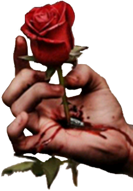 sticker_25474587_37981924