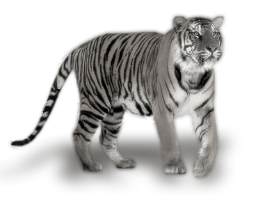 sticker_26056149_47516542