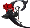 sticker_9532144_47478489