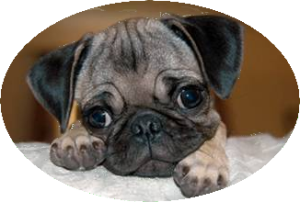 sticker_26734947_36680456
