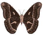 sticker_5746231_8263511