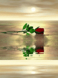 sticker_22882281_45403096