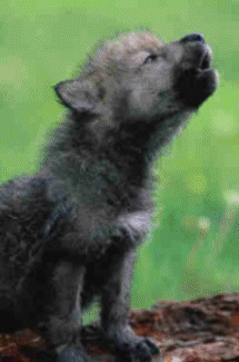 sticker_12417504_20856563