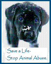 sticker_12520668_22855378