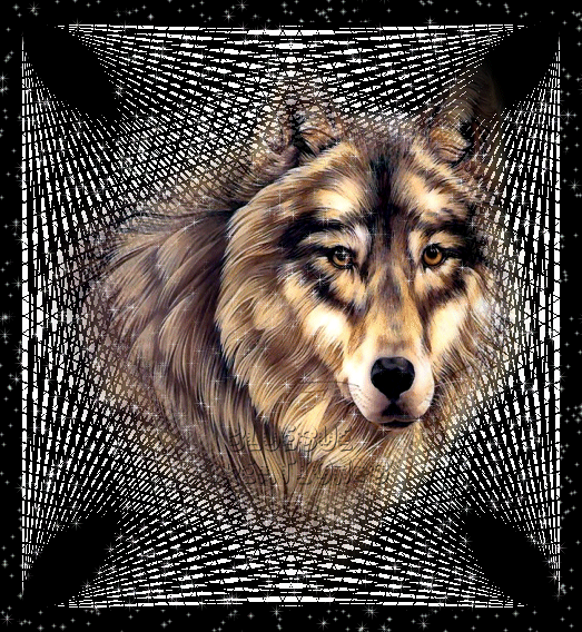 sticker_12417504_25588954