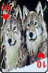 sticker_22933190_41053316