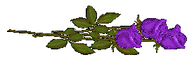 sticker_21284336_47599835