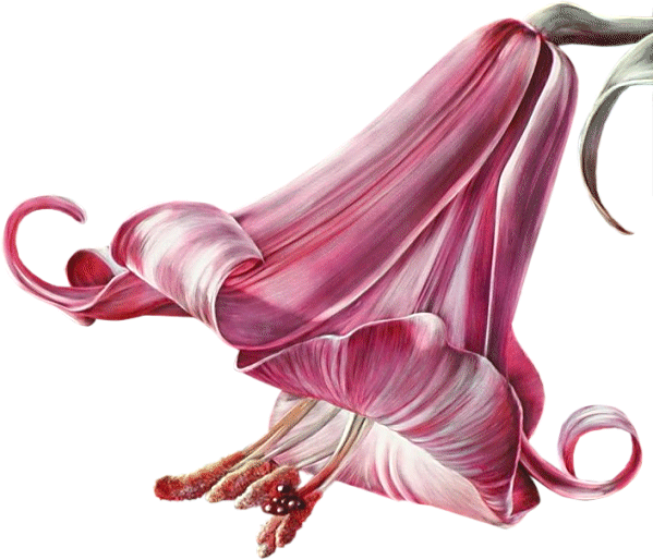 sticker_25369378_38586327
