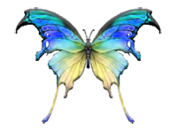 sticker_25333166_44137216