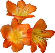 sticker_18684068_46323182