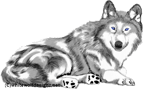 sticker_12988031_46854746