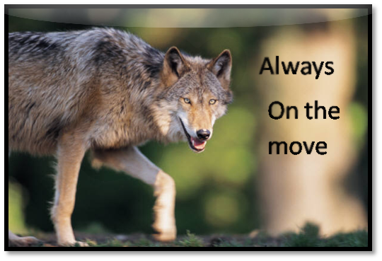 sticker_36153549_14