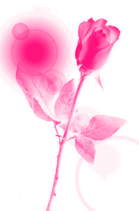 sticker_16110179_45270971