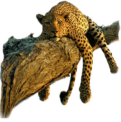sticker_3325777_38188326
