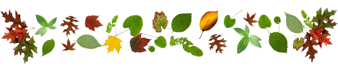 sticker_12610945_42210317