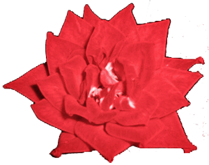 sticker_12210841_38933651