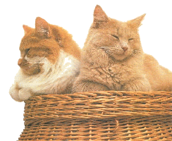 sticker_23019370_46845839