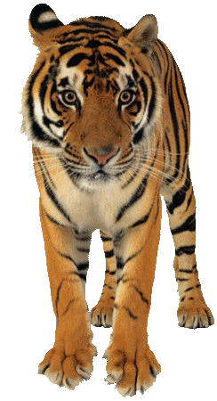 sticker_35029966_59