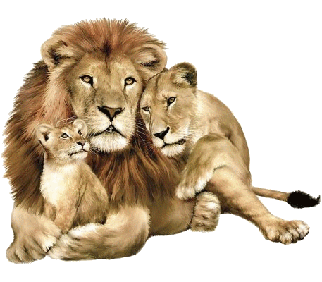 sticker_41440147_6