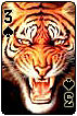 sticker_22933190_44496077