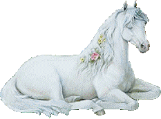 sticker_29147877_47319694