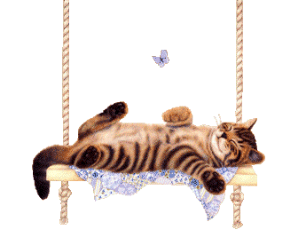 sticker_4917213_19109913