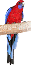 sticker_5572132_47549490