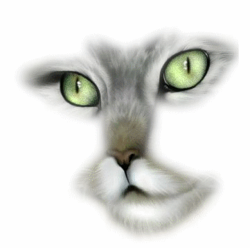 sticker_30369371_47607390