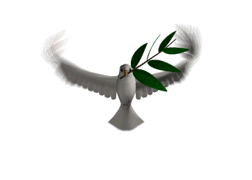 sticker_17057576_45981007