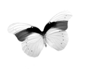sticker_12517070_25045397