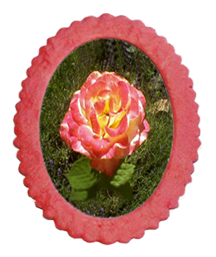 sticker_3282443_36529524