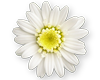 sticker_1209970_44167776