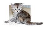 sticker_41449609_17